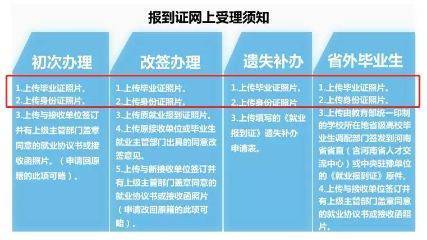 毕业生网上办理报到证流程