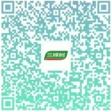 【三棵树】招聘财务管理、工商管理等专业！