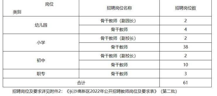 长沙高新区2022年公开招聘 | 音乐教师