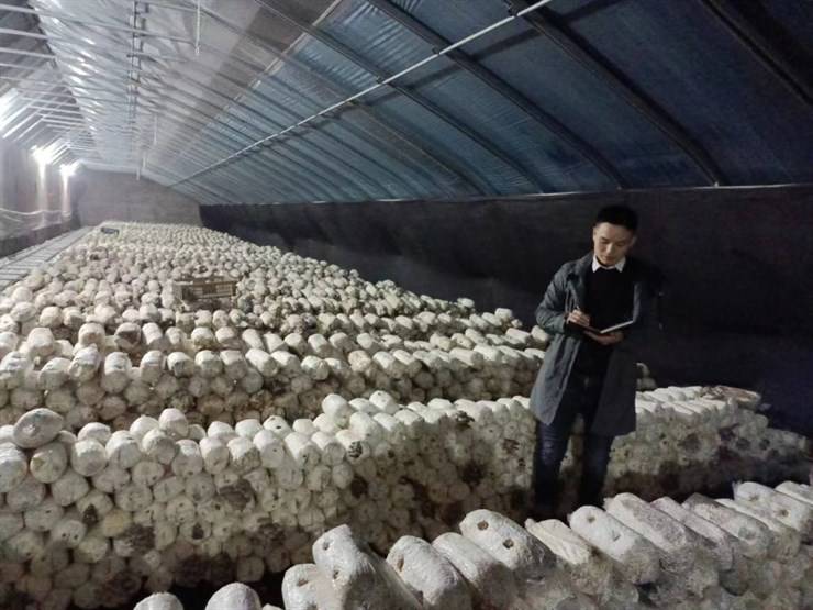 退伍小伙的“硬核青春”：从致富人到领头人——河南农业大学马永跃事迹