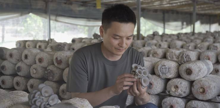 退伍小伙的“硬核青春”：从致富人到领头人——河南农业大学马永跃事迹