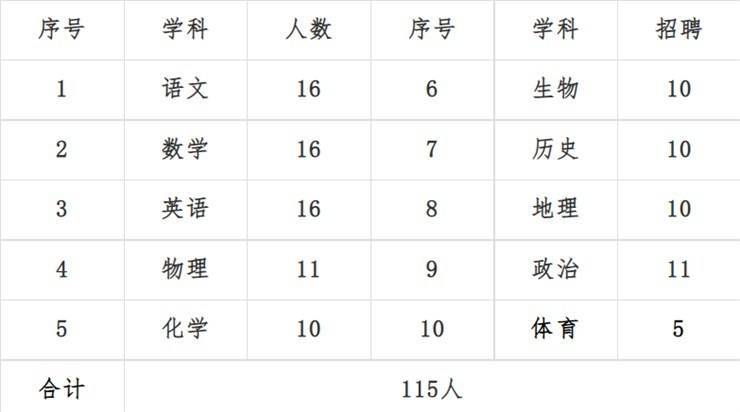 南阳市元培实验高级中学2023年公开招聘教师启事