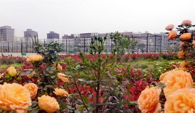 华夏中学2023教师招聘