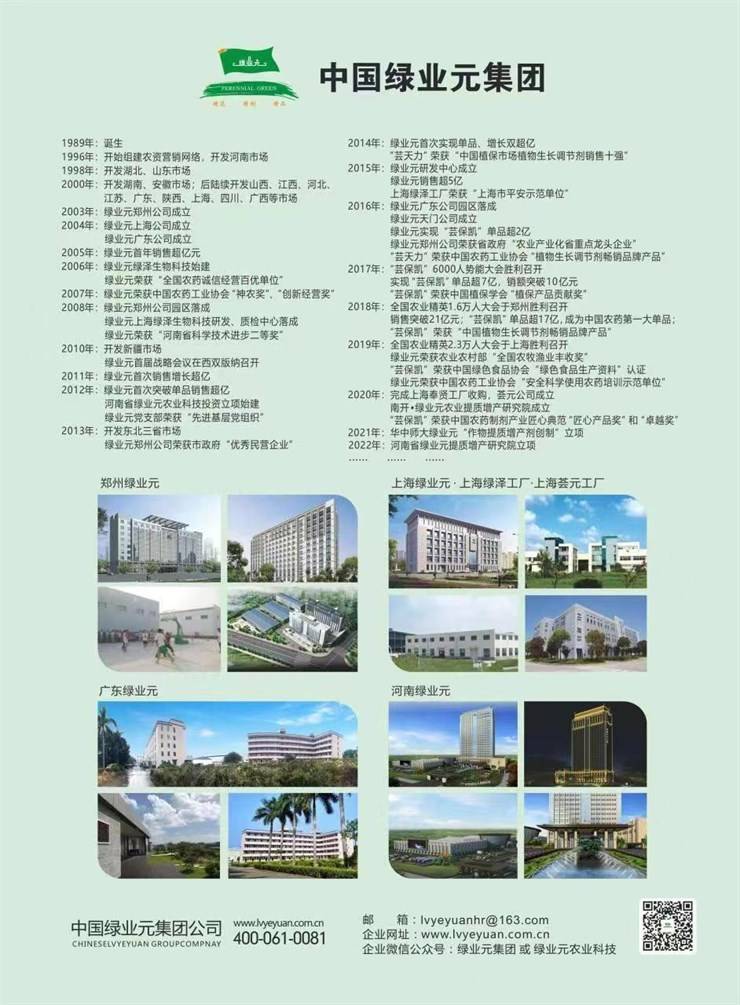 中国绿业元集团公司招聘简章