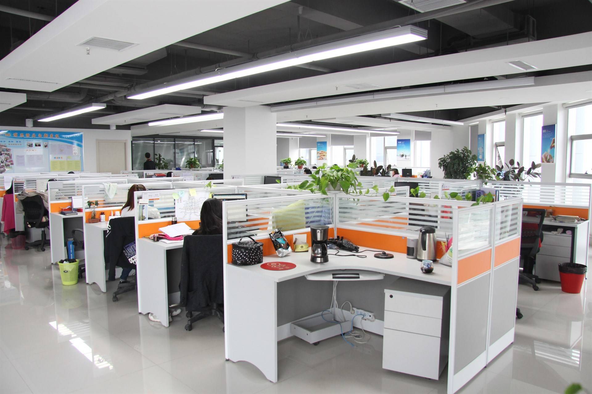 公司展示