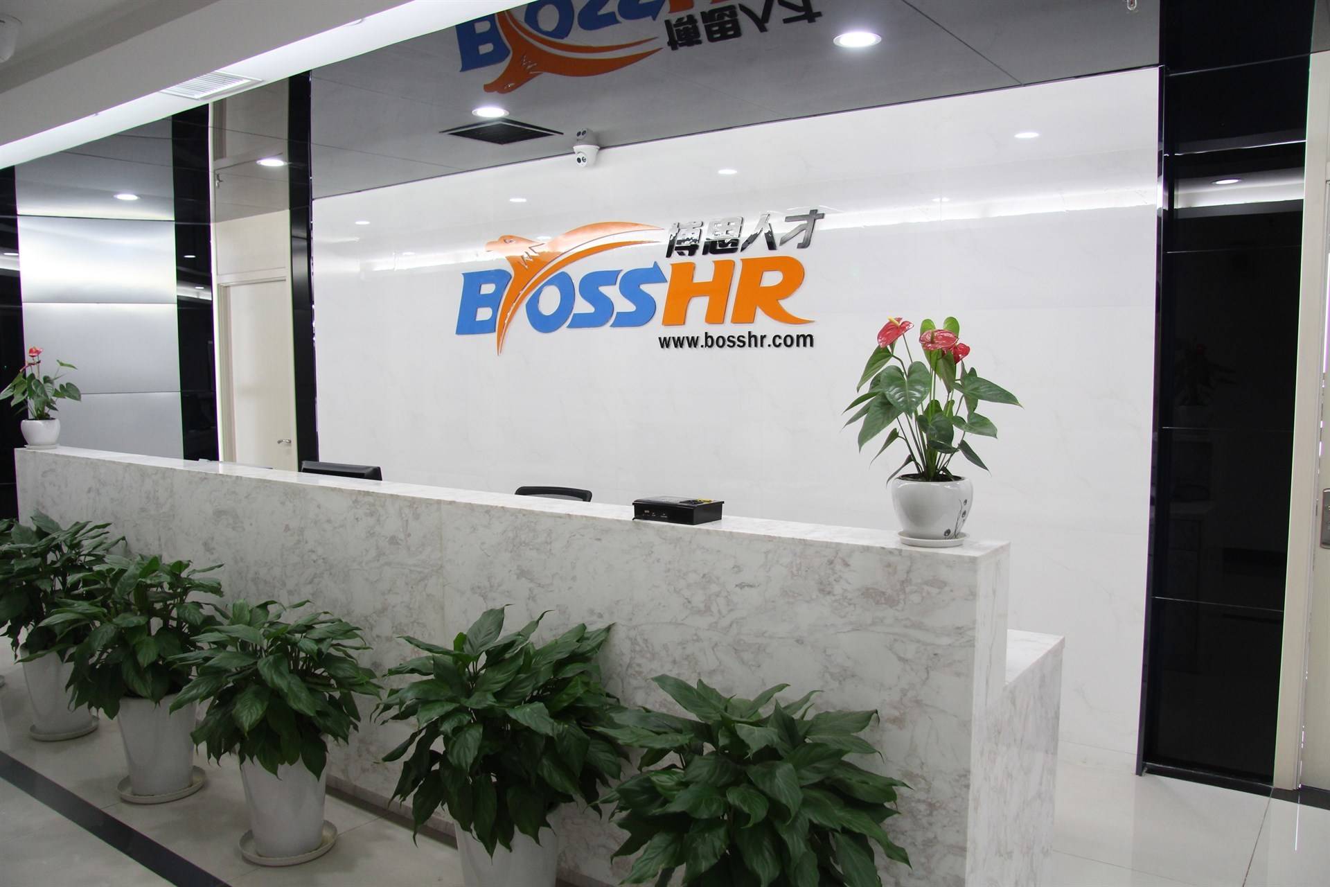 公司展示