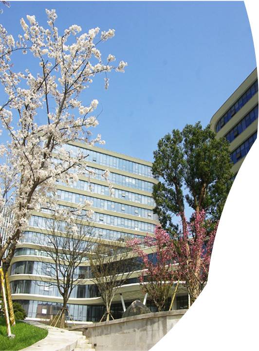 公司展示