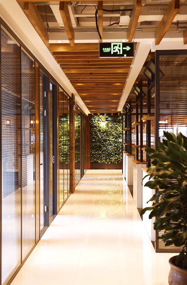 公司展示