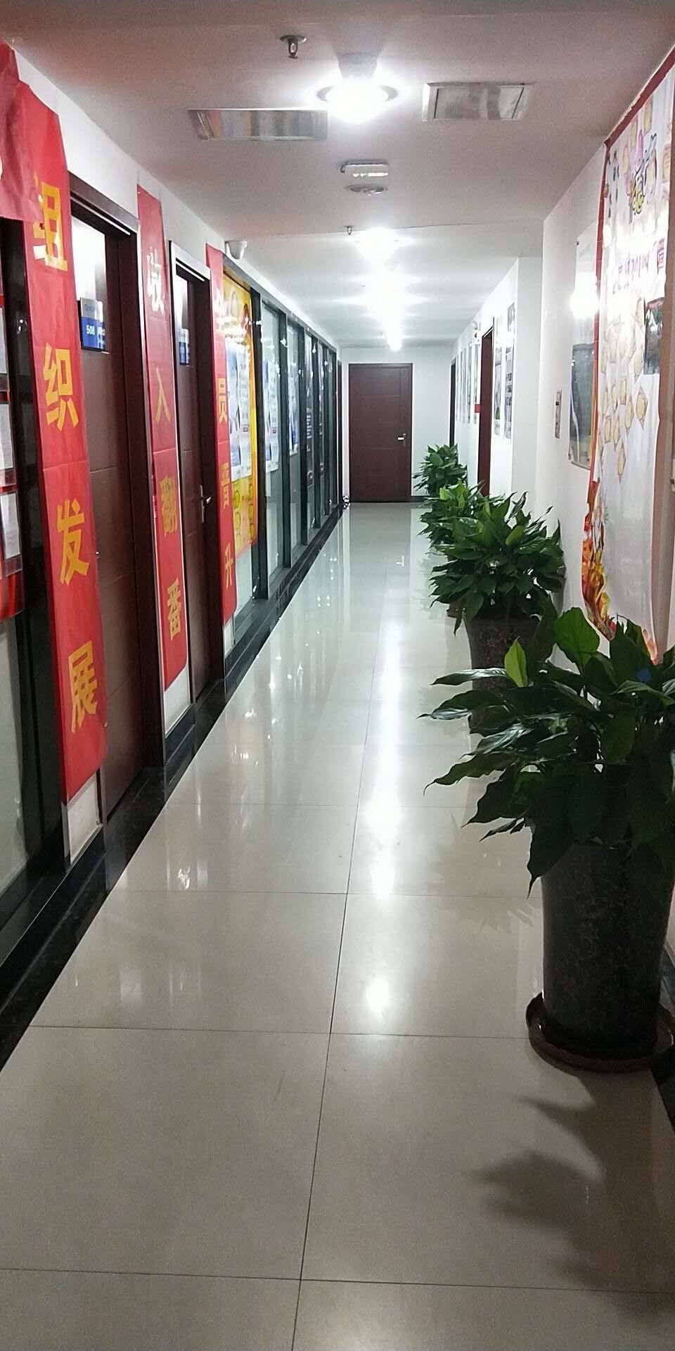 公司展示