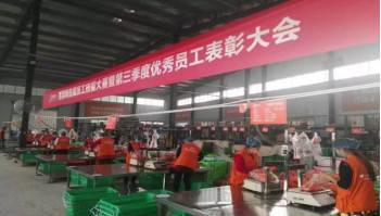 公司展示