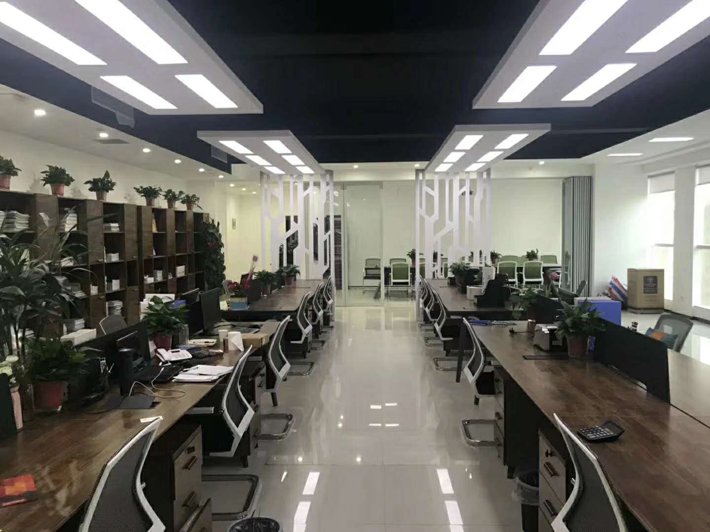 公司展示
