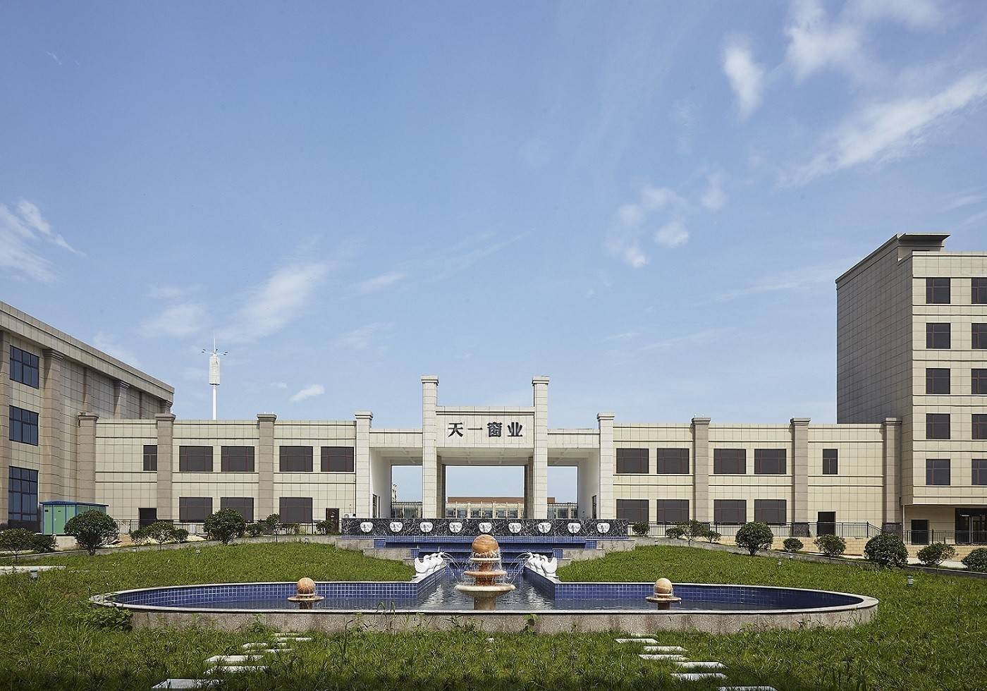 公司展示