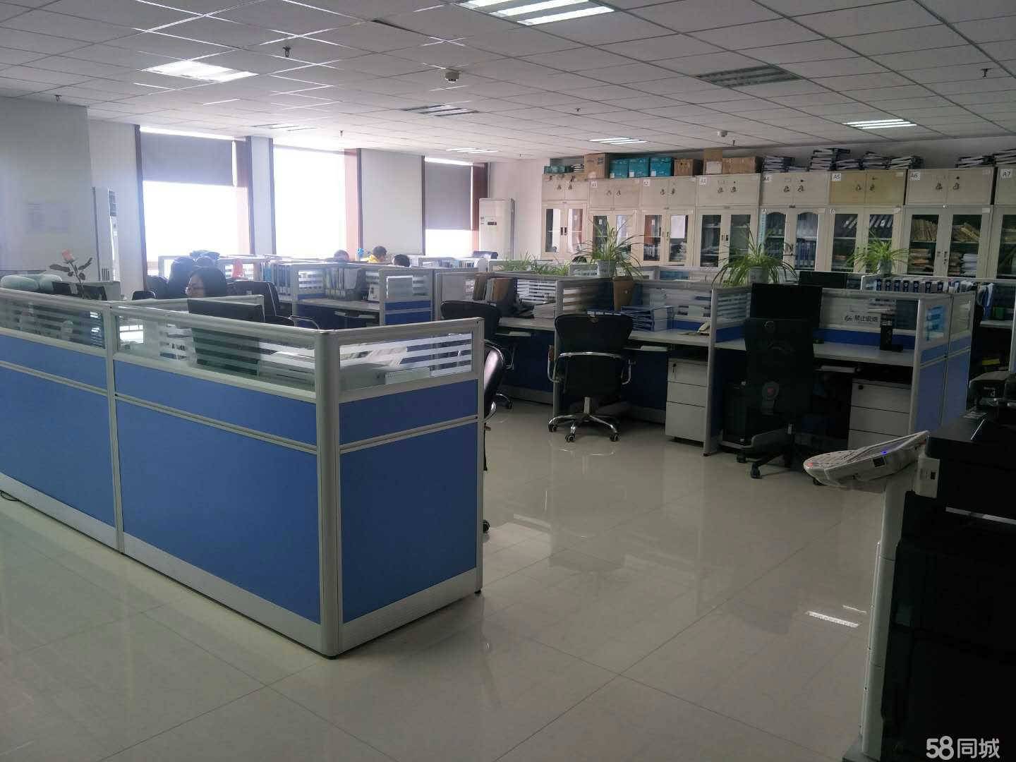 公司展示