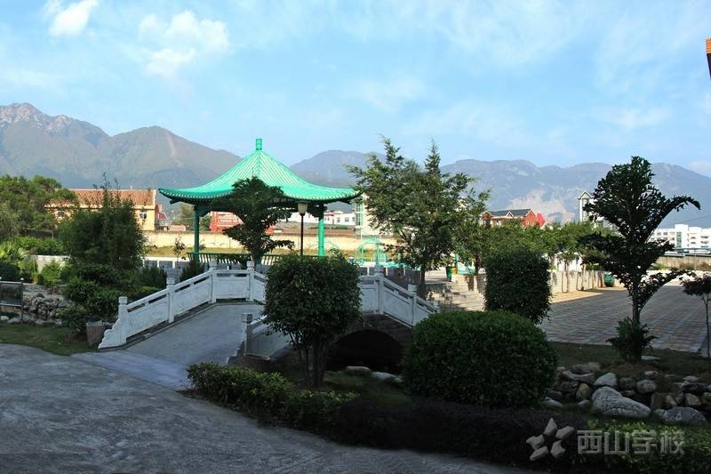 公司展示
