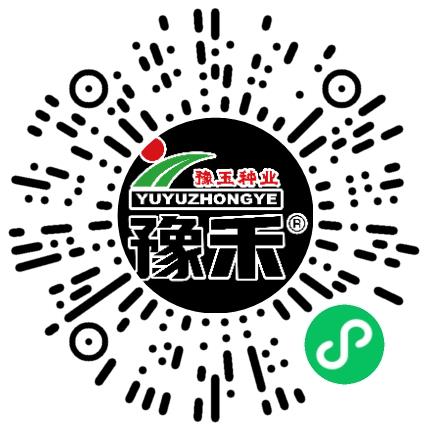 河南省豫玉种业股份有限公司新媒体运营专员/助理扫码投递简历