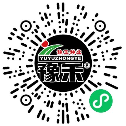 河南省豫玉种业股份有限公司网络/在线销售扫码投递简历