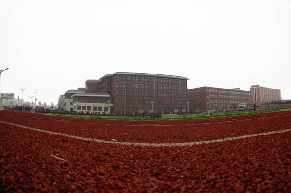 公司展示