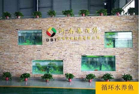公司展示