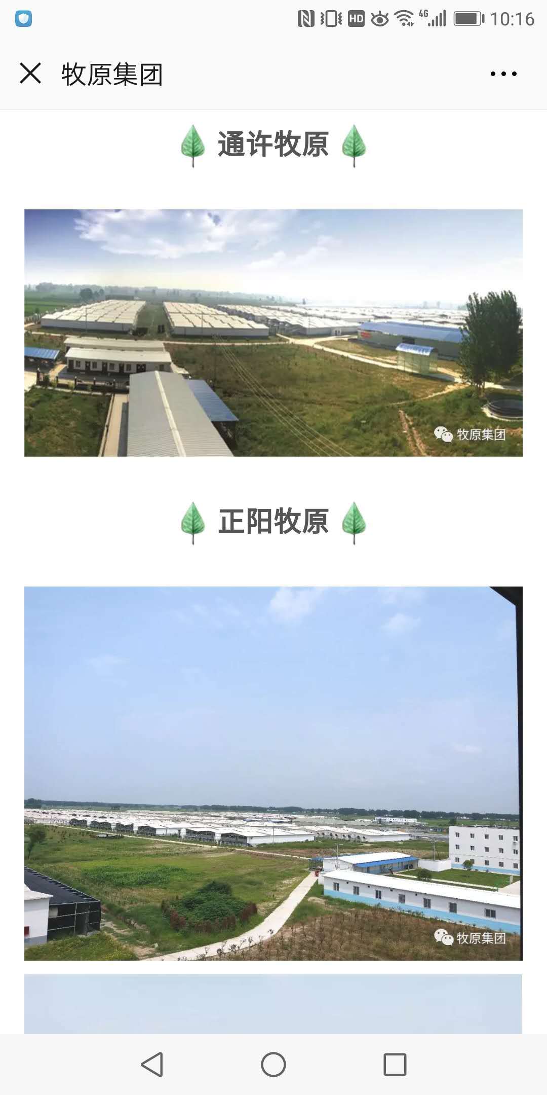 公司展示