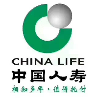 中国人寿保险股份有限公司郑州市东大街营销服务部