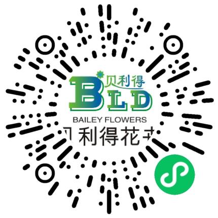 郑州贝利得花卉有限公司电子商务专员/助理扫码投递简历
