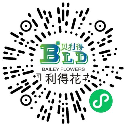 郑州贝利得花卉有限公司电子商务专员/助理扫码投递简历