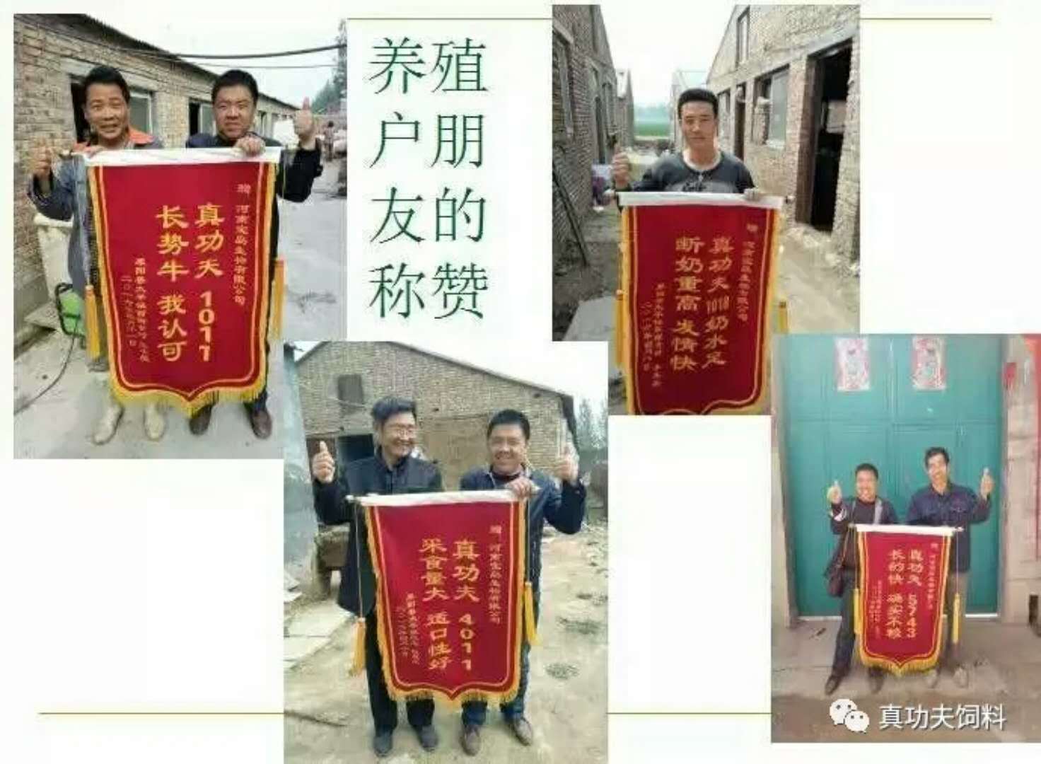 公司展示