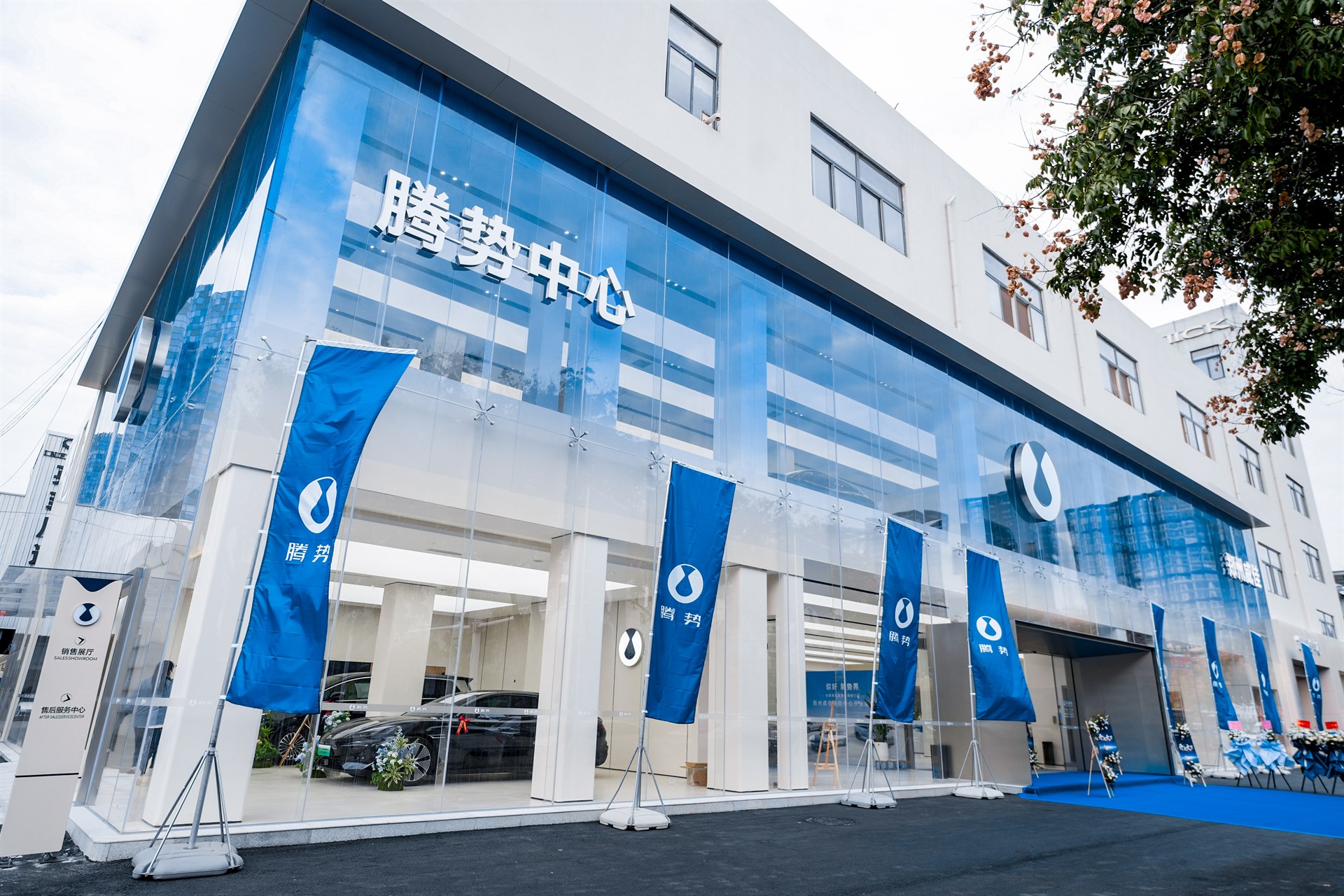 公司展示