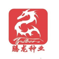 企业logo
