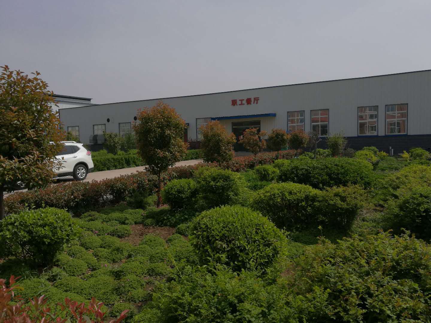 公司展示