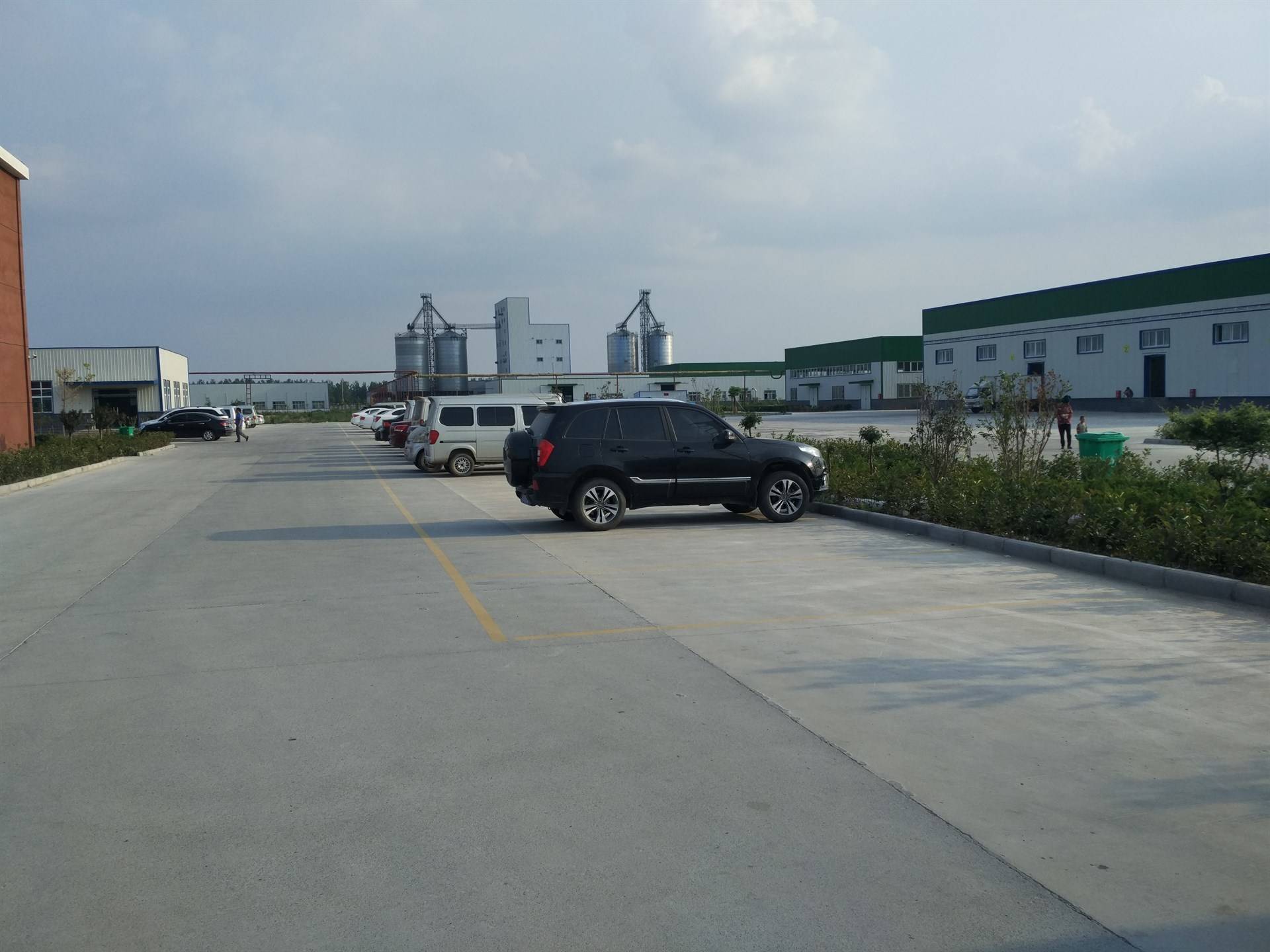 公司展示