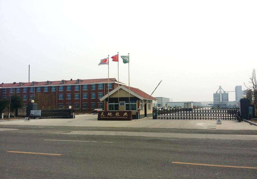 公司展示