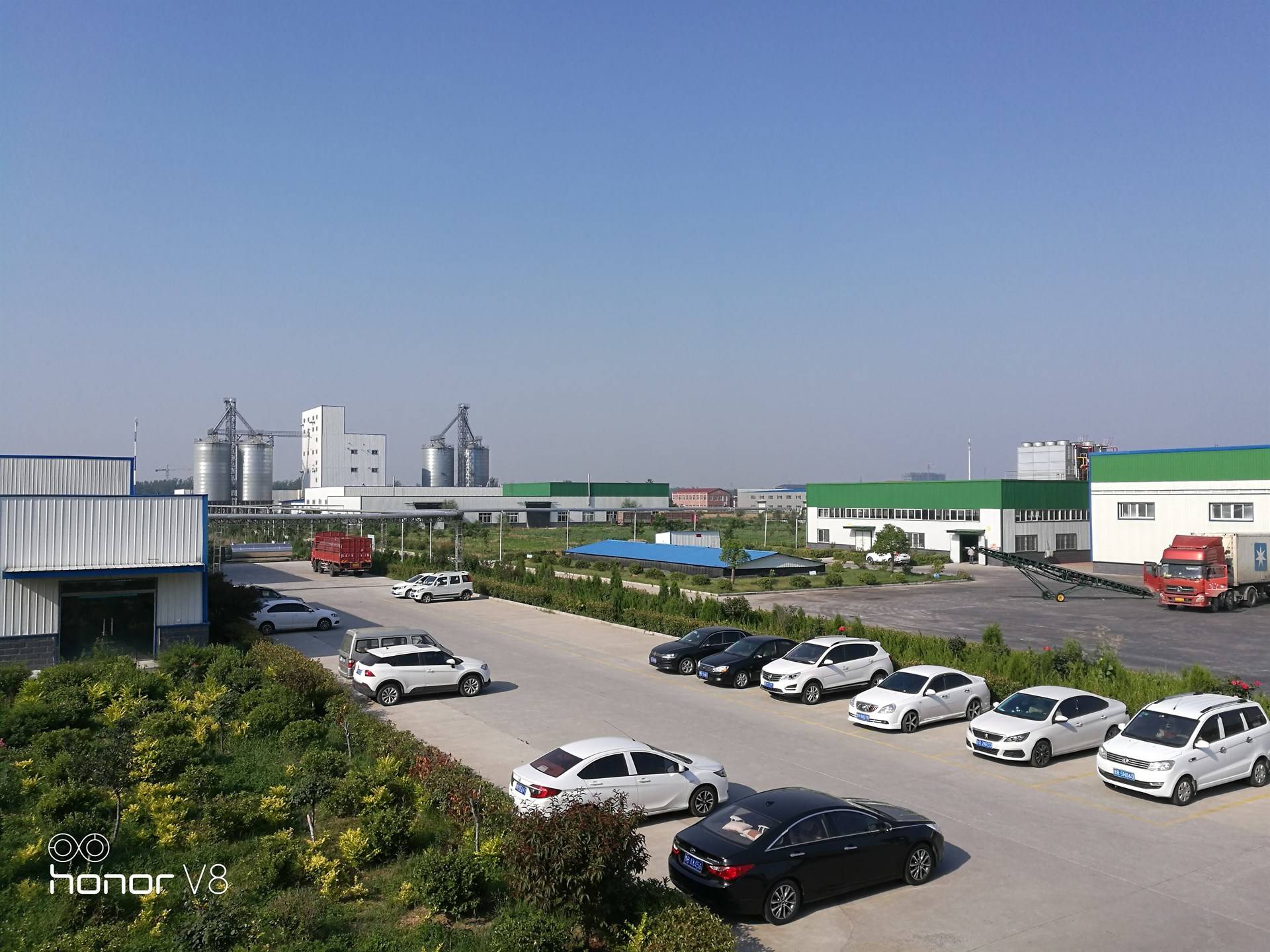 公司展示