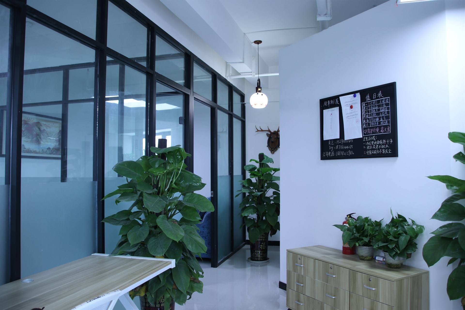 公司展示
