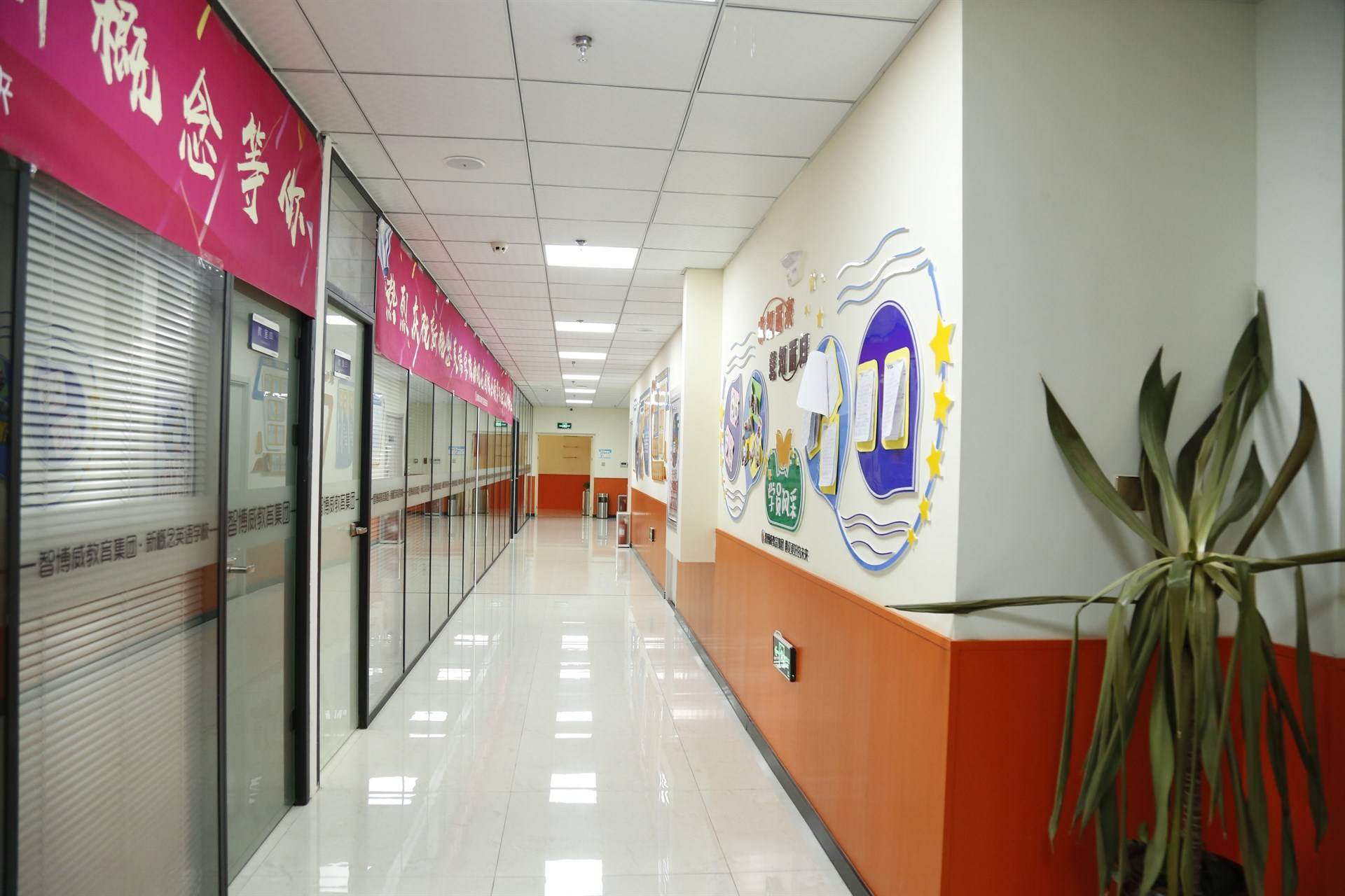 公司展示