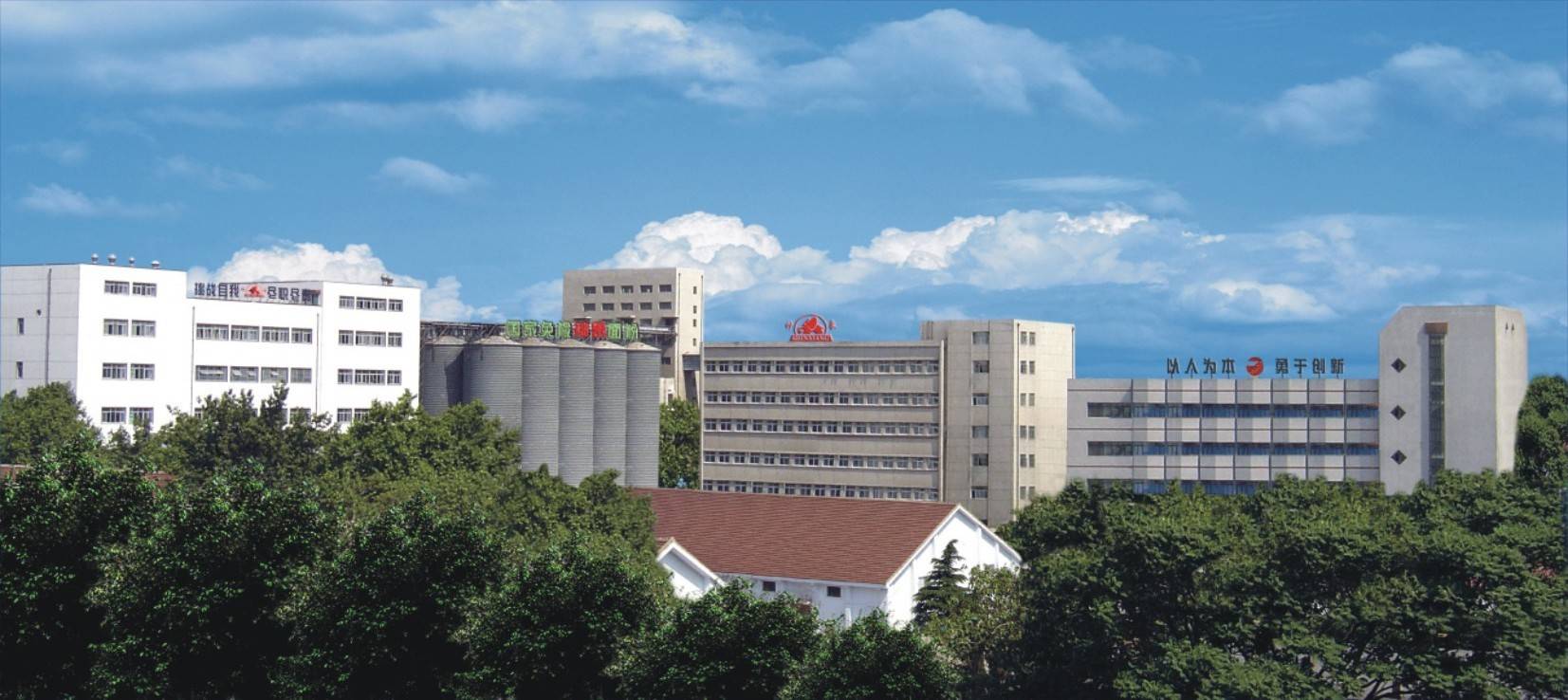 公司展示