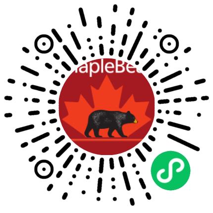 郑州市惠济区枫叶小熊小学小学教师扫码投递简历