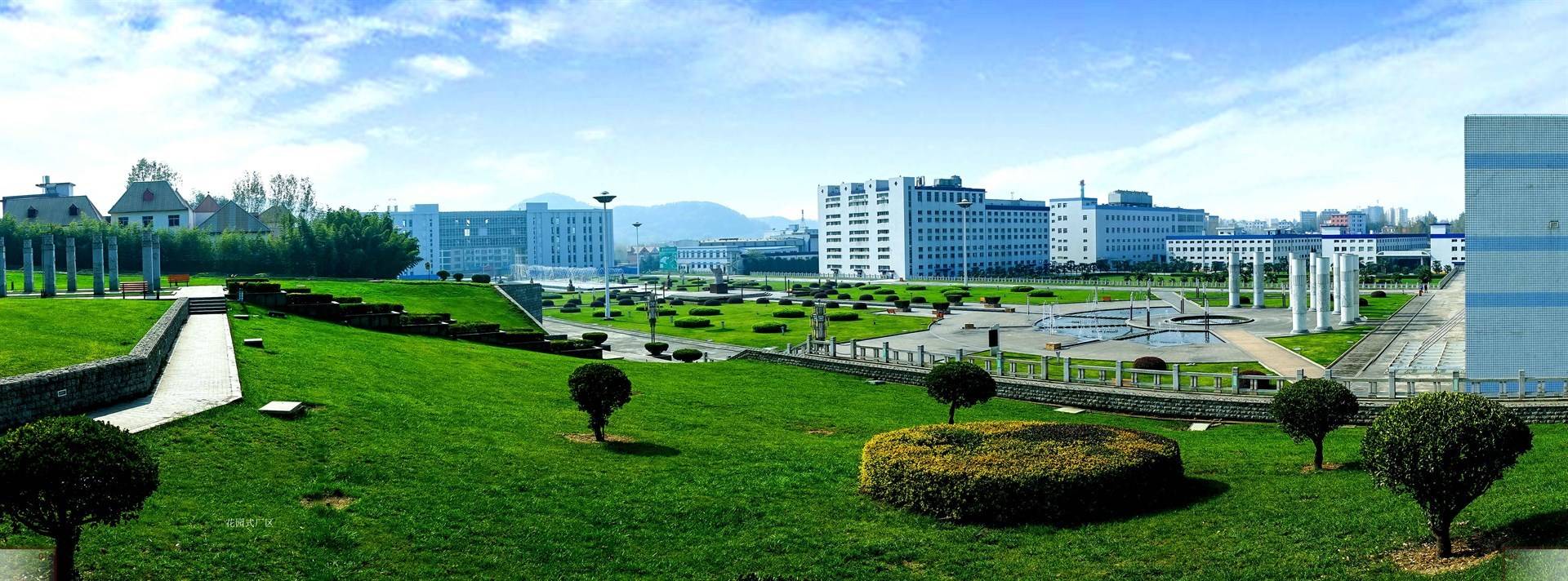 公司展示