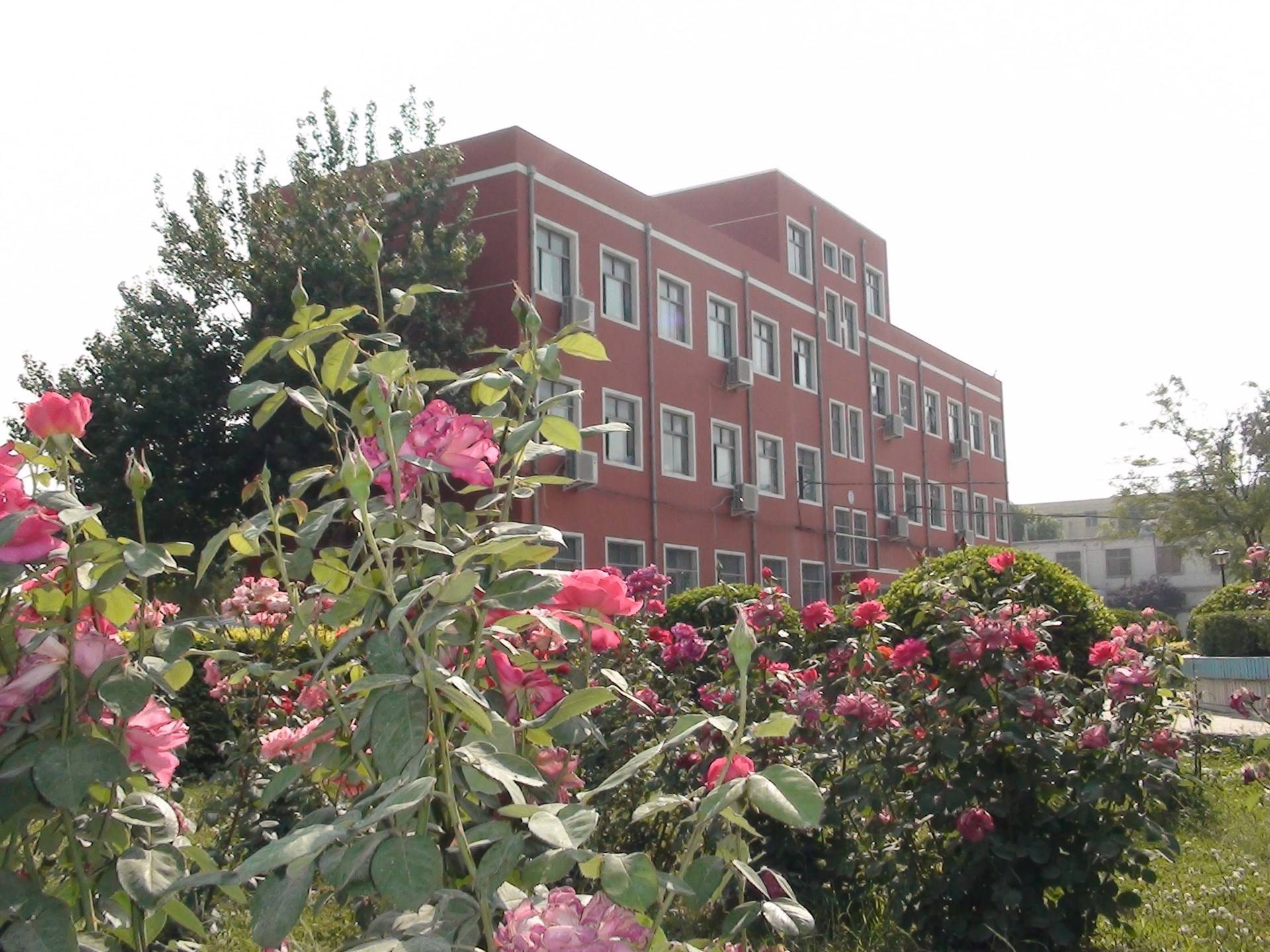 鹤壁市淇滨高级中学