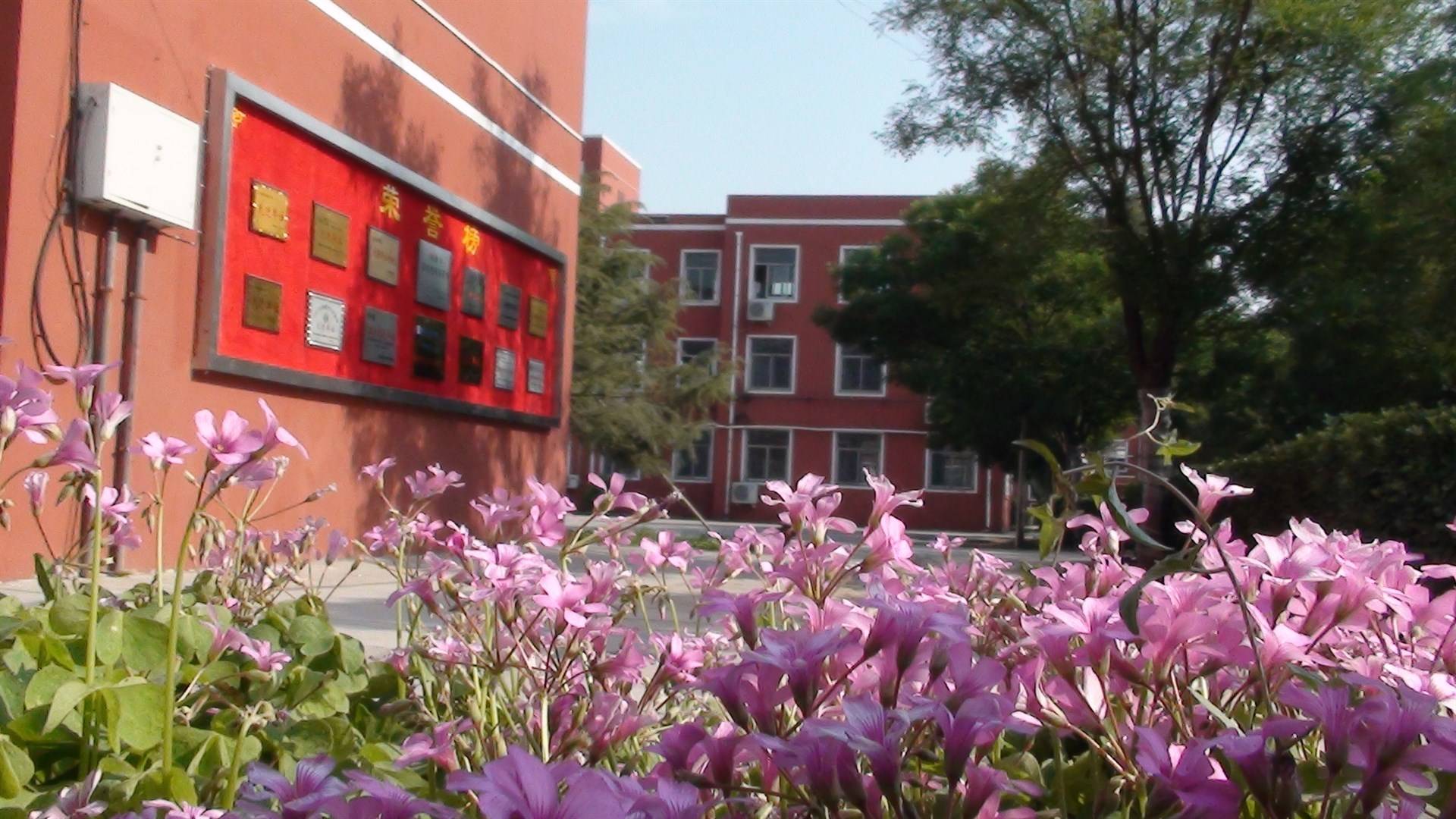 鹤壁市淇滨高级中学