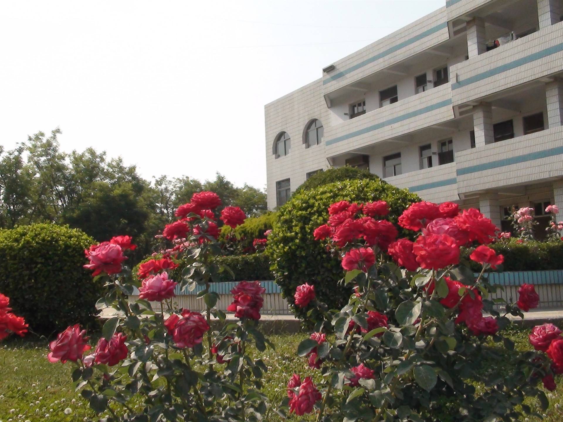 鹤壁市淇滨高级中学