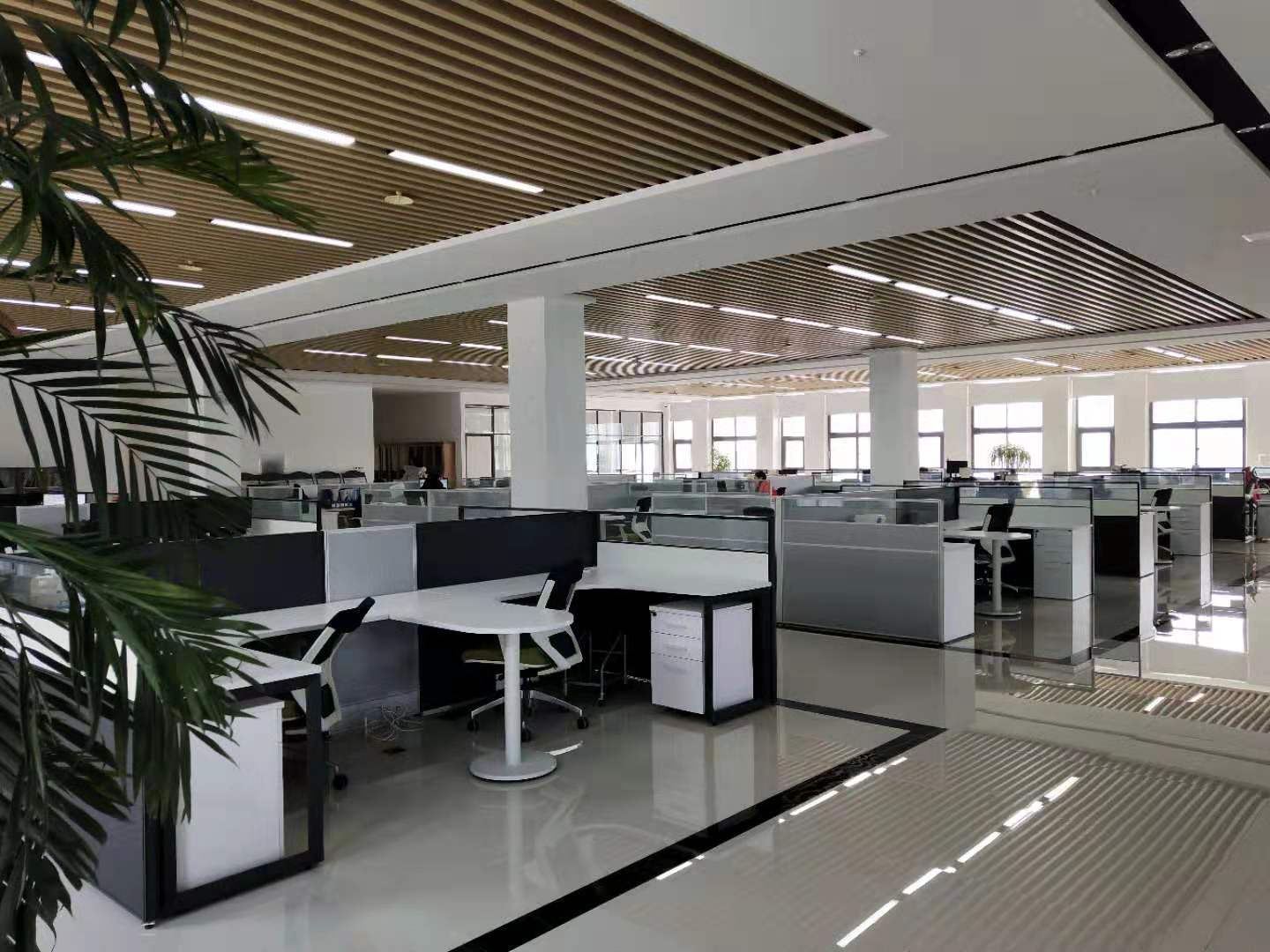 公司展示