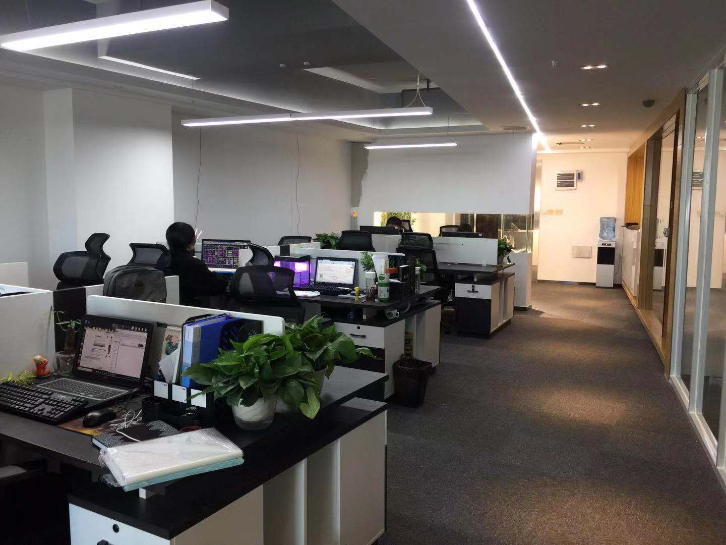 公司展示
