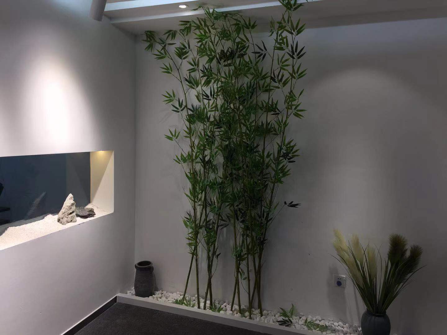 公司展示