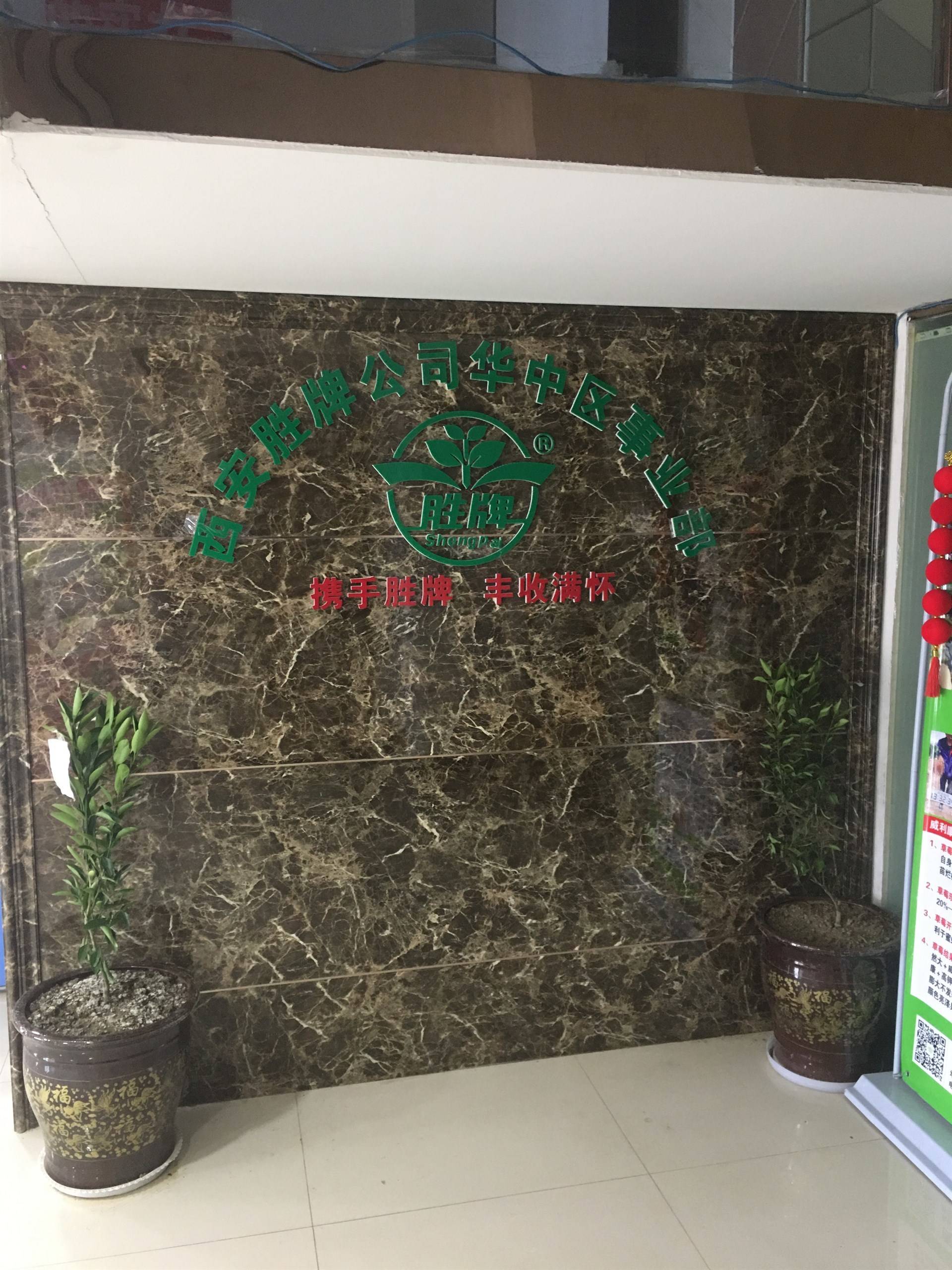 公司展示