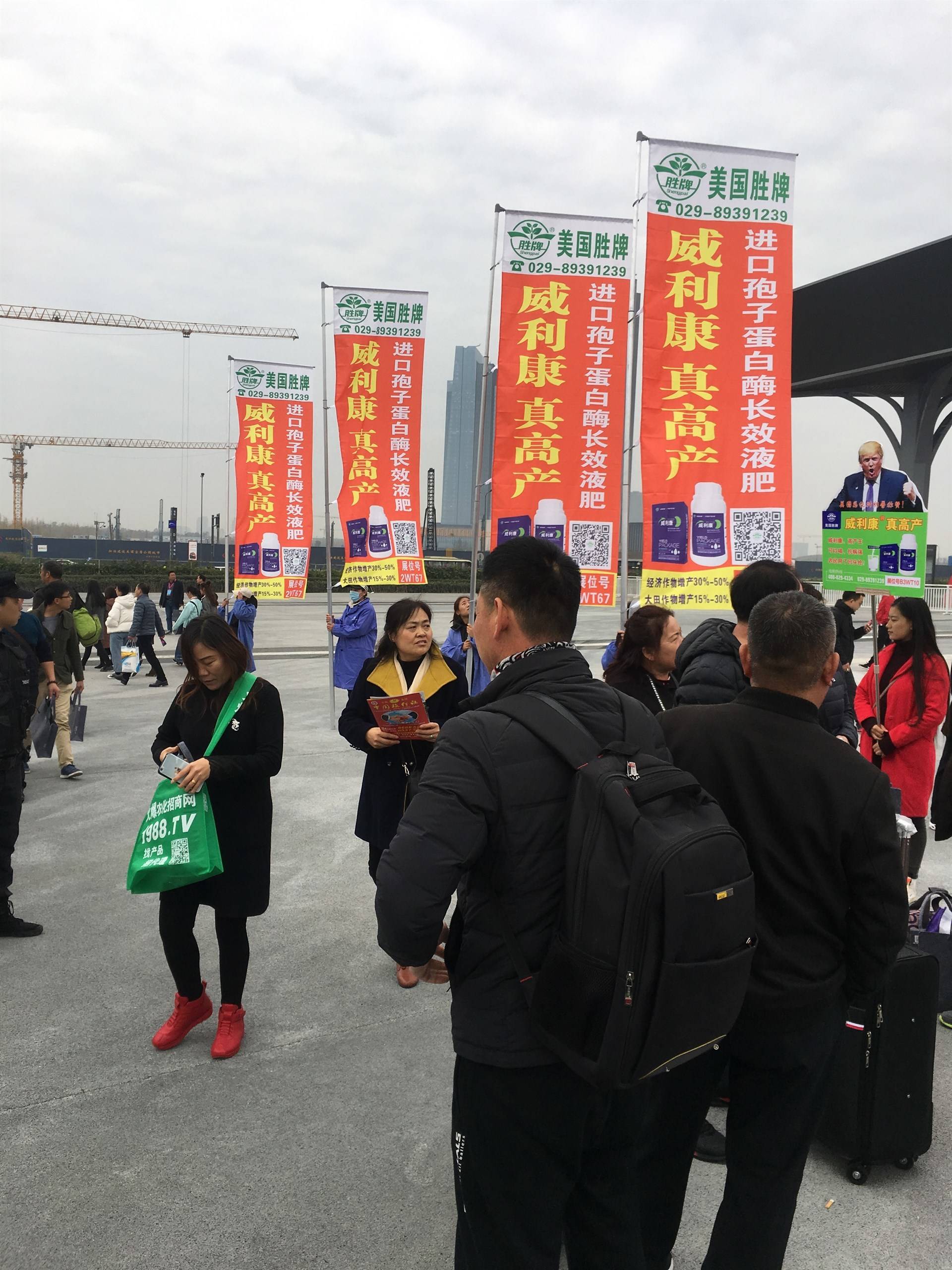 公司展示