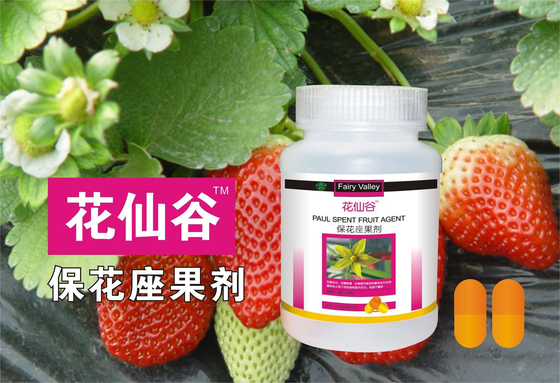 公司展示