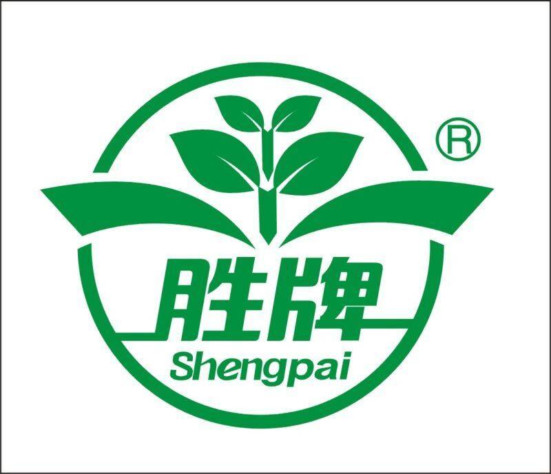 公司展示