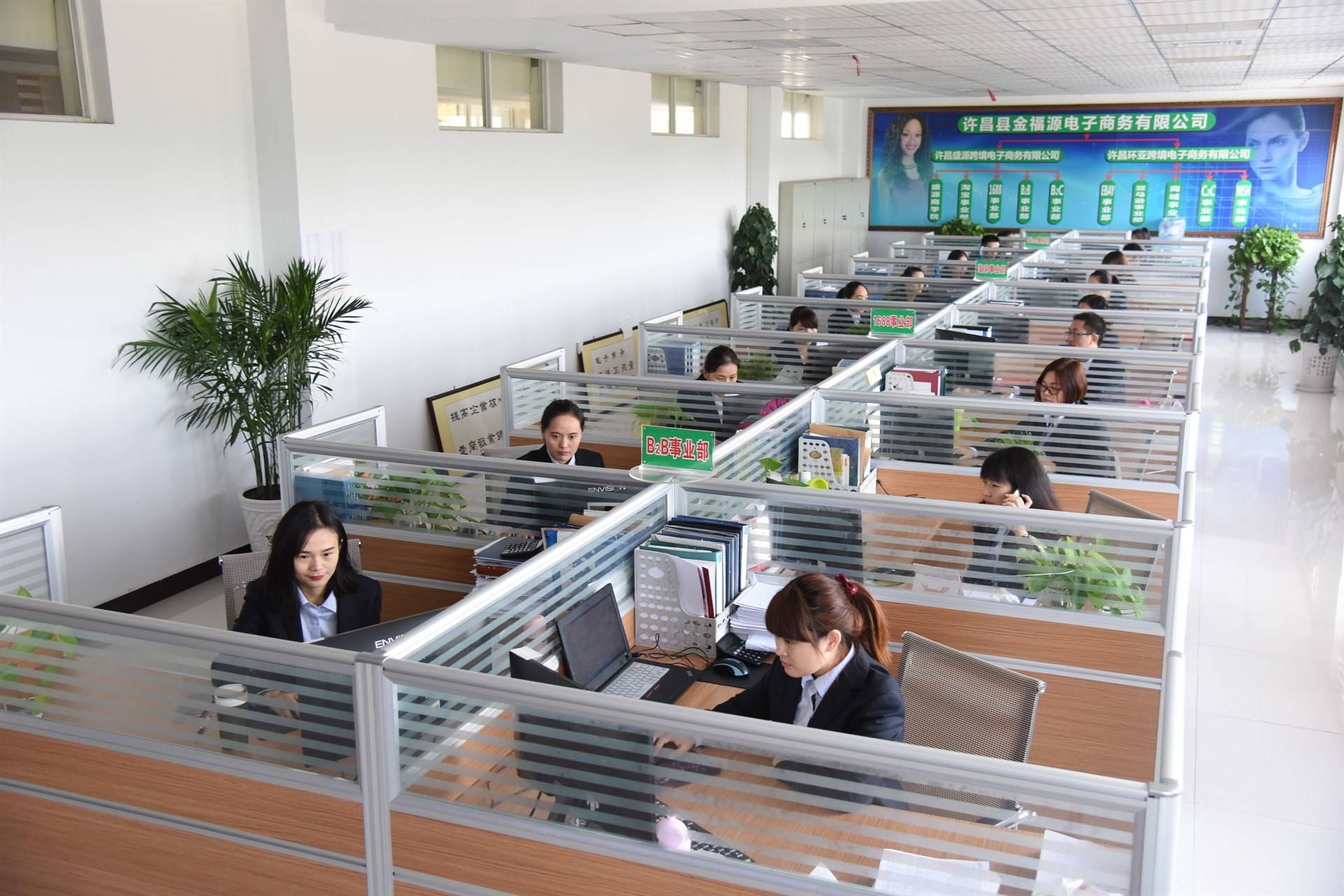 公司展示