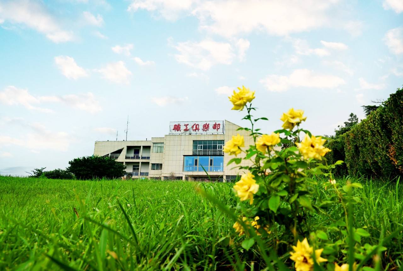 公司展示